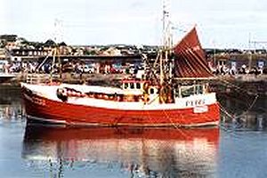 Newlyn Fishing Boat in Harbour